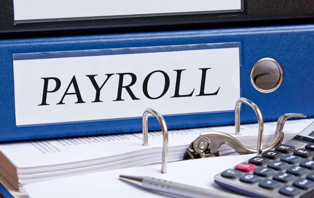 Pegasus Payroll Software & Support | Accounting Software | DCS